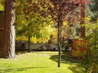 fall